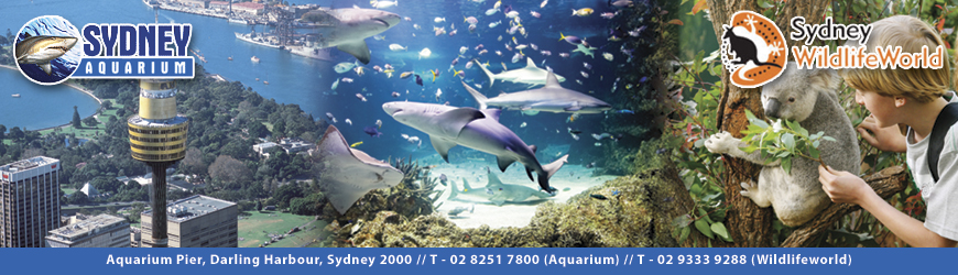 aquarium