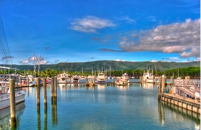 cape tribulation picture
