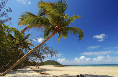 cape-trib cape tribulation