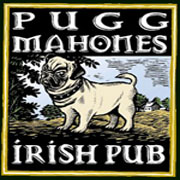 puggs-logo puggs logo