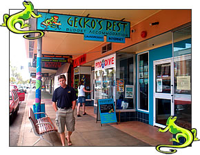 picture of gecko