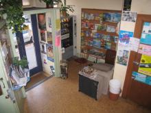 the foyer at global backpackers