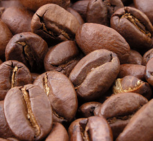 coffee_beans What's on in Sydney New South Wales - Fair Trade Fiesta