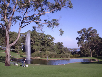 Five Best Parks in Western Australia