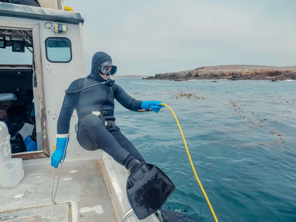 Diving