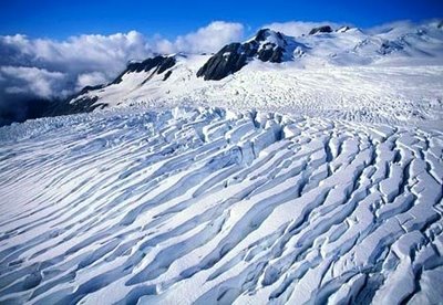 Accommodation in Franz Josef Glacier