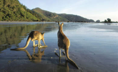 Accommodation in Mackay