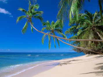 beautiful beachside accommodation in fiji