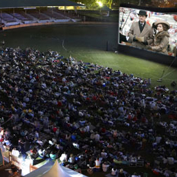1cinemas Things to Do in Sydney New South Wales - Outdoor Cinemas