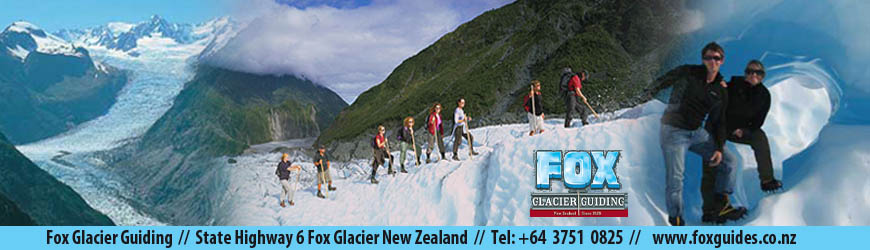 foxguides Ice Adventure Tours Fox Glacier South Island New Zealand