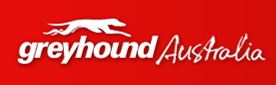 greyhound