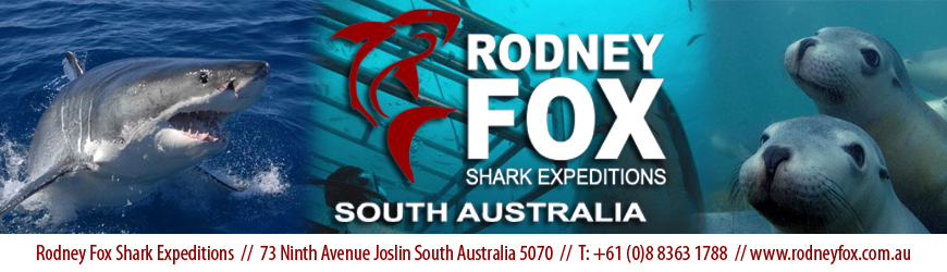 Adventure Tours Neptune Islands South Australia - Shark Expeditions