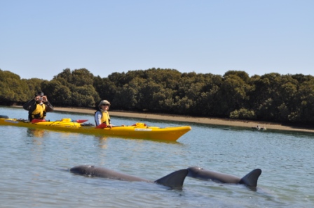 kayaking