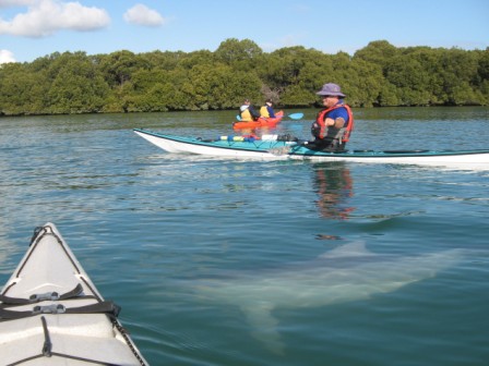 adventure kayak picture 1