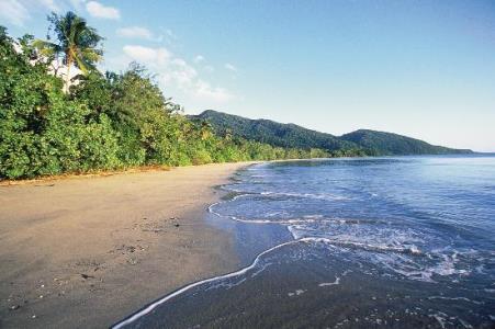 cape-trib-connections Tours and Travels Cape Tribulations Queensland