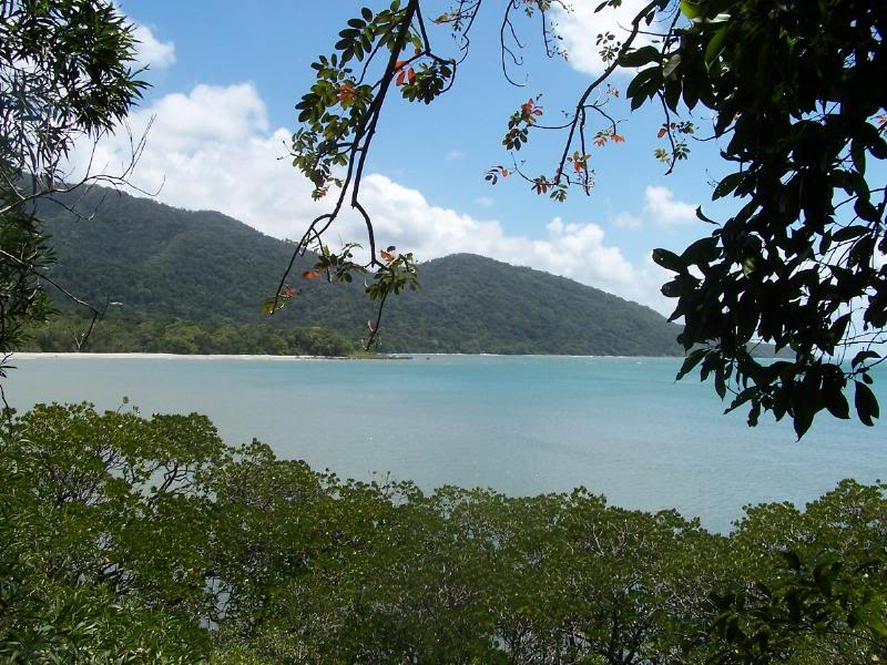Things to Do in Cape Tribulation and Daintree Queensland