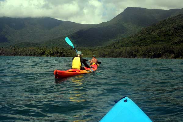 sea-kayaking Things to Do in Cape Tribulation and Daintree Queensland - Sea Kayaking