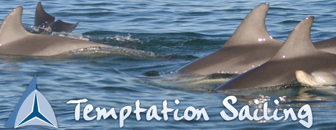 temptation sailing Adventure Tours in South Australia - Dolphin Swim & Sailing the