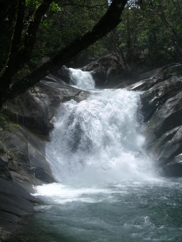a waterfall in the daintree rainforest
