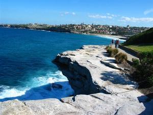 bondi to coogee coastal walking track