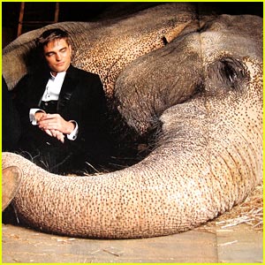 elephant Elephant