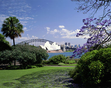 Sydney botanical gardens