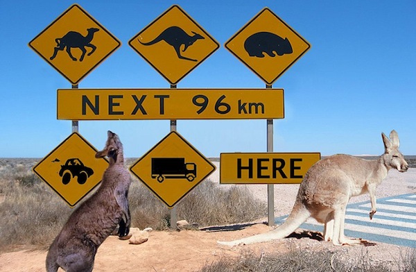 Australian-Traffic-Signs--36709 Travels and Tours Australia - Day 6: Cape Tribulation Queensland