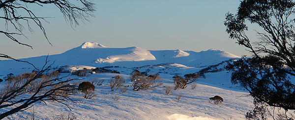 Snowy Mountains Australia