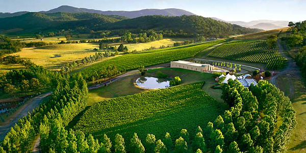 Wine Tasting In The Yarra Valley