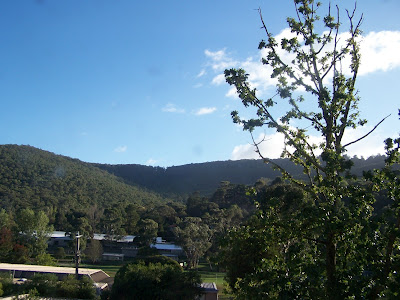 dandenong ranges national park - sunny 2 Dandenong