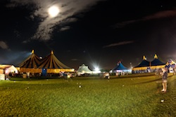 mintfest