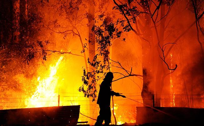 australia bush fire nsw Forest Fires In NSW
