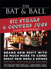 bat and ball feb 13