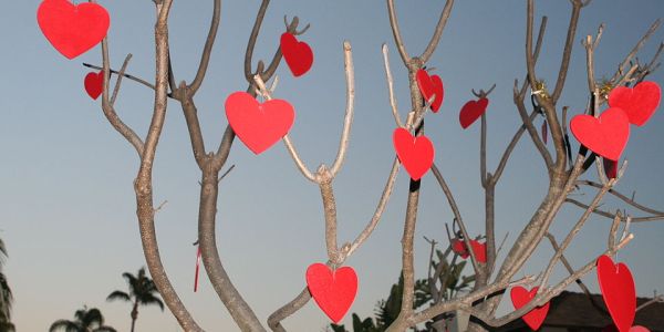 Valentine's Day Dates In Melbourne