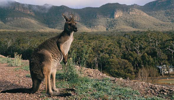 How to Plan an Unforgettable Trip in Australia?