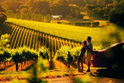 clare_valley clare valley