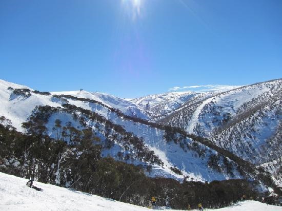 hotham hotham