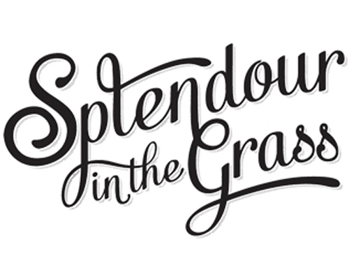 Splendour in the Grass