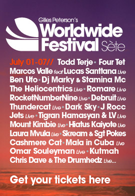 Worldwide Festival poster 2013
