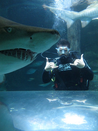 Perth to Exmouth Whale Shark Tours