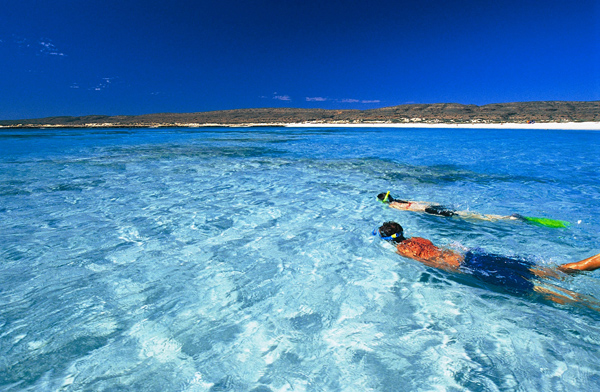 Travels and Tours Ningaloo Reef Western Australia - Snorkelling