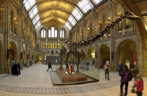 natural_history_museum natural history museum