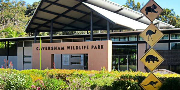 Visit Caversham Wildlife Park this January 2014