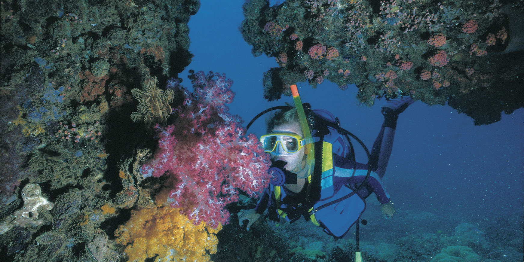 Diver in Ningaloo Reef Western Australia
