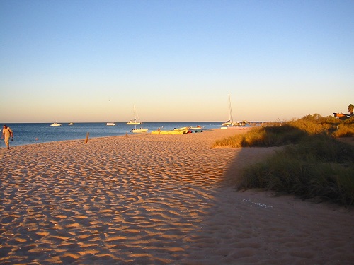 Perth to Monkey Mia Hop on Hop off Backpacker Tours