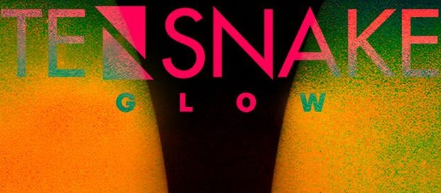 Tensnake Visuals new album