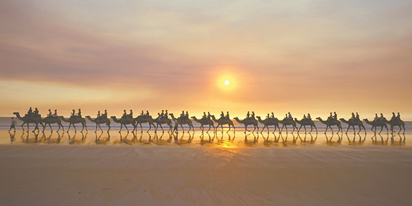 Camel riding on the beach