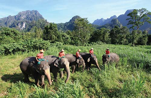 Riding elephants in Thailand