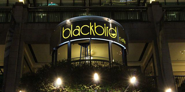 Blackbird Cafe Sydney