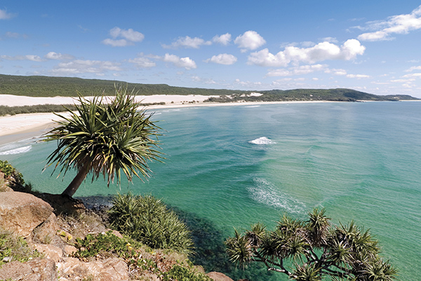 Fraser Island beach Fraser Island